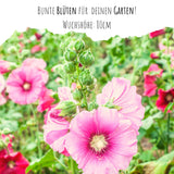 Stockrosen Samen - Alcea Rosea (Mix) - HappySeed
