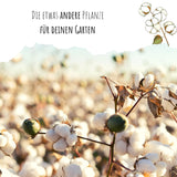 Topfbaumwoll Samen - Gossypium Herbaceum - HappySeed