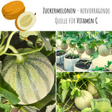 Zuckermelone Samen - Cucurbita melo - HappySeed
