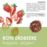 Erdbeeren Samen - Fragaria - HappySeed
