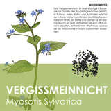 Vergissmeinnicht Samen - Myosotis - HappySeed