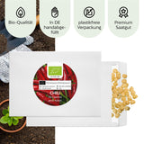 BIO Chili Samen (De Cayenne, 50.000 Scoville) - Chili Saatgut aus biologischem Anbau (10 Korn) - HappySeed
