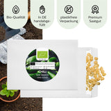 BIO Chili Samen (Early Jalapeno, 5.000 Scoville) - Chili Saatgut aus biologischem Anbau (10 Korn) - HappySeed