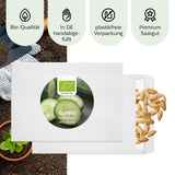 BIO Gurken Samen (Marketmore) - Salatgurke Saatgut aus biologischem Anbau (10 Korn) - HappySeed