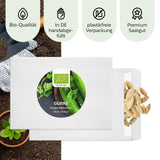 BIO Gurken Samen (Vorgebirgstraube) - Einlegegurken Saatgut aus biologischem Anbau (10 Korn) - HappySeed