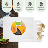 BIO Kürbis Samen (Butternut) - Kürbis Saatgut aus biologischem Anbau (6 Korn) - HappySeed