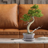 Bonsai Schale aus Keramik mit Untersetzer in Grau - 11 x 6,5 x 9 cm - HappySeed