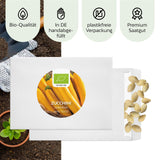 BIO Zucchini Samen Gelb (Gold Rush) - Zucchini Saatgut aus biologischem Anbau (5 Korn) - HappySeed