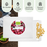 BIO Chili Samen (Ciliegia Piccante, 15.000 Scoville) - Chili Saatgut aus biologischem Anbau (10 Korn) - HappySeed