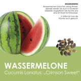 Obst Samen Set mit 6 exotischen Sorten - HappySeed