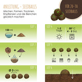 DIY Set für Samenbomben - selber machen für eine bunte Bienenweide für 20-30 Seedbombs - HappySeed