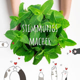 Katzenminze Samen Saatband 80 x 10 cm - Nepeta cataria - HappySeed