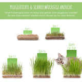 Katzengras Samen Saatband 80 x 10 cm - HappySeed