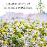 Echte Kamille Samen - Matricaria chamomilla - HappySeed