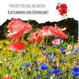 Klatschmohn Samen - Papaver rhoeas (Mix) - HappySeed
