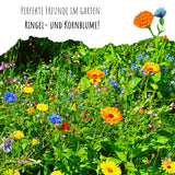 Ringelblumen Samen - Calendula Officinalis (Gelb/Orange) - HappySeed