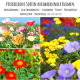 4x Saatteppich mit Blumensamen für den Balkon (Mix) - HappySeed