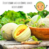 Zuckermelone Samen - Cucurbita melo - HappySeed