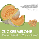 Obst Samen Set mit 6 exotischen Sorten - HappySeed