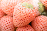 Weiße Erdbeeren Samen - Fragaria (weiß) - HappySeed