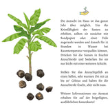 Kenia Bananen Samen - Musa velutina - HappySeed