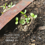 12x Samenbomben für eine bunte Bienenweide - Farbenfroh & nektarreich für Bienen und Schmetterlinge - HappySeed