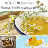 Echte Kamille Samen - Matricaria chamomilla - HappySeed