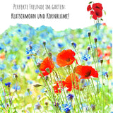 Klatschmohn Samen - Papaver rhoeas (Rot) - HappySeed
