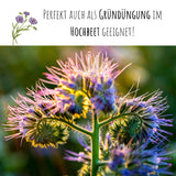 Phacelia Samen Bienenfreund - Phacelia tanacetifolia - HappySeed