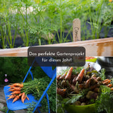 5m Saatband mit Karotten Samen - Nantaise 2 - Daucus carota - HappySeed