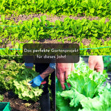 5m Saatband mit Salat Mix Samen - Lactuca sativa var. crispa - HappySeed