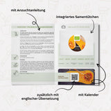 BIO Kürbis Samen (Butternut) - Kürbis Saatgut aus biologischem Anbau (6 Korn) - HappySeed