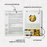 BIO Kürbis Samen (Delicata) - Kürbis Saatgut aus biologischem Anbau (6 Korn) - HappySeed