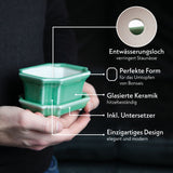 Bonsai Schale aus Keramik mit Untersetzer in Jadegrün - 11 x 6,5 x 9 cm - HappySeed