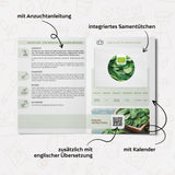 BIO Spinat Samen (Winterriese) - Winterspinat Saatgut aus biologischem Anbau (125 Korn) - HappySeed