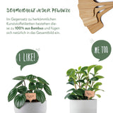 30x Pflanzenstecker zum Beschriften inklusive Marker (Stecker aus robustem Bambus) - HappySeed