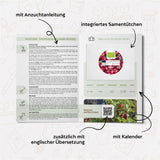 BIO Chili Samen (Ciliegia Piccante, 15.000 Scoville) - Chili Saatgut aus biologischem Anbau (10 Korn) - HappySeed