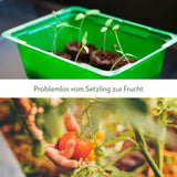 Mini-Gewächshaus inkl. Kokosscheiben in den Maße 16 x 11,5 x 11cm -Made in Germany- - HappySeed