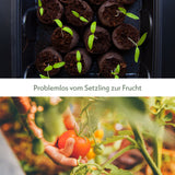 Gewächshaus Set mit 60 Kokostabs - Für die Anzucht von Kräutern, Gemüse & Blumen - HappySeed