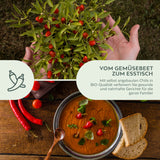 BIO Chilisamen Set (5 Sorten) - Chili Saatgut aus biologischem Anbau - HappySeed