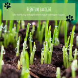 Katzengras Samen Saatband 80 x 10 cm - HappySeed