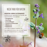 Katzenminze Samen Saatband 80 x 10 cm - Nepeta cataria - HappySeed