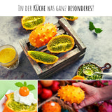 Kiwano / Horngurke Samen - Cucumis metuliferus - HappySeed