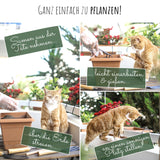 Blumensamen Balkonkasten Mischung - Farbenfroher Blumen Mix - HappySeed