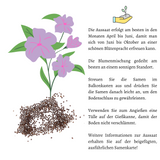 Blumensamen Balkonkasten Mischung - Petunien Mix - HappySeed
