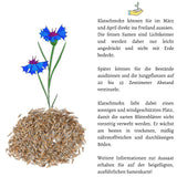 Kornblumen Samen (Centaurea cyanus) - Blau, 1000 Korn, 80 cm - HappySeed