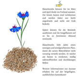 Kornblumen Samen (Centaurea cyanus) - Rot, 1000 Korn, 80 cm - HappySeed