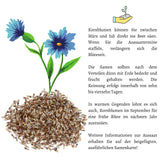 Kornblumen Samen (Centaurea cyanus) - Schwarz, 1000 Korn, 80 cm - HappySeed