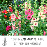 Stockrosen Samen - Alcea Rosea (Mix) - HappySeed