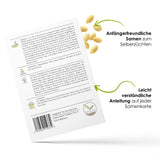 Erdnuss Samen - Arachis hypogeae